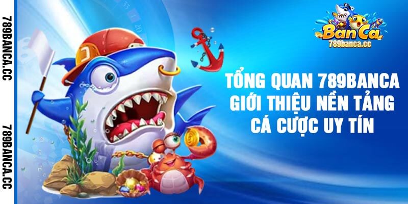 Tổng quan 789banca - Giới thiệu nền tảng cá cược uy tín