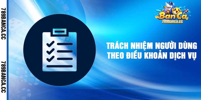 Trách Nhiệm Người Dùng Theo Điều Khoản Dịch Vụ